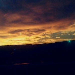 Meet your Posher, Marisol